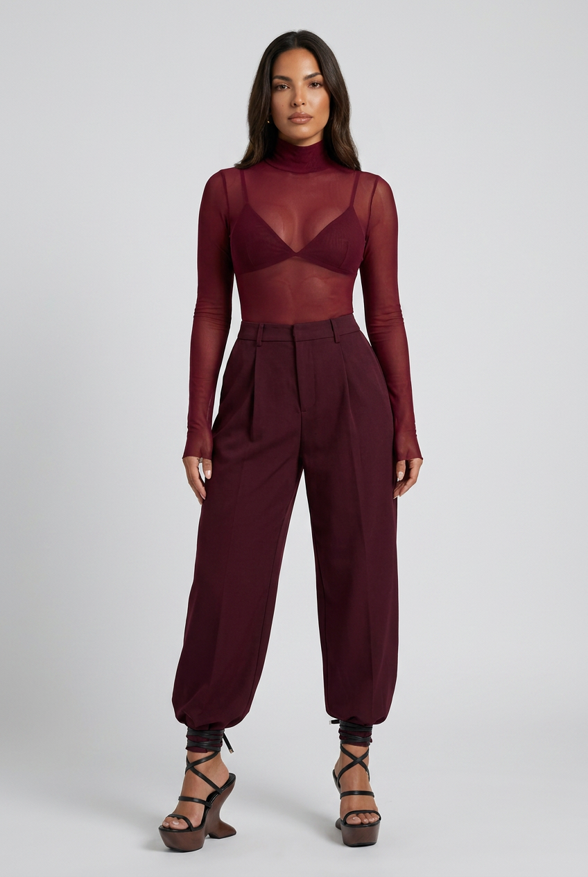 Sheer Mesh Turtleneck Top
