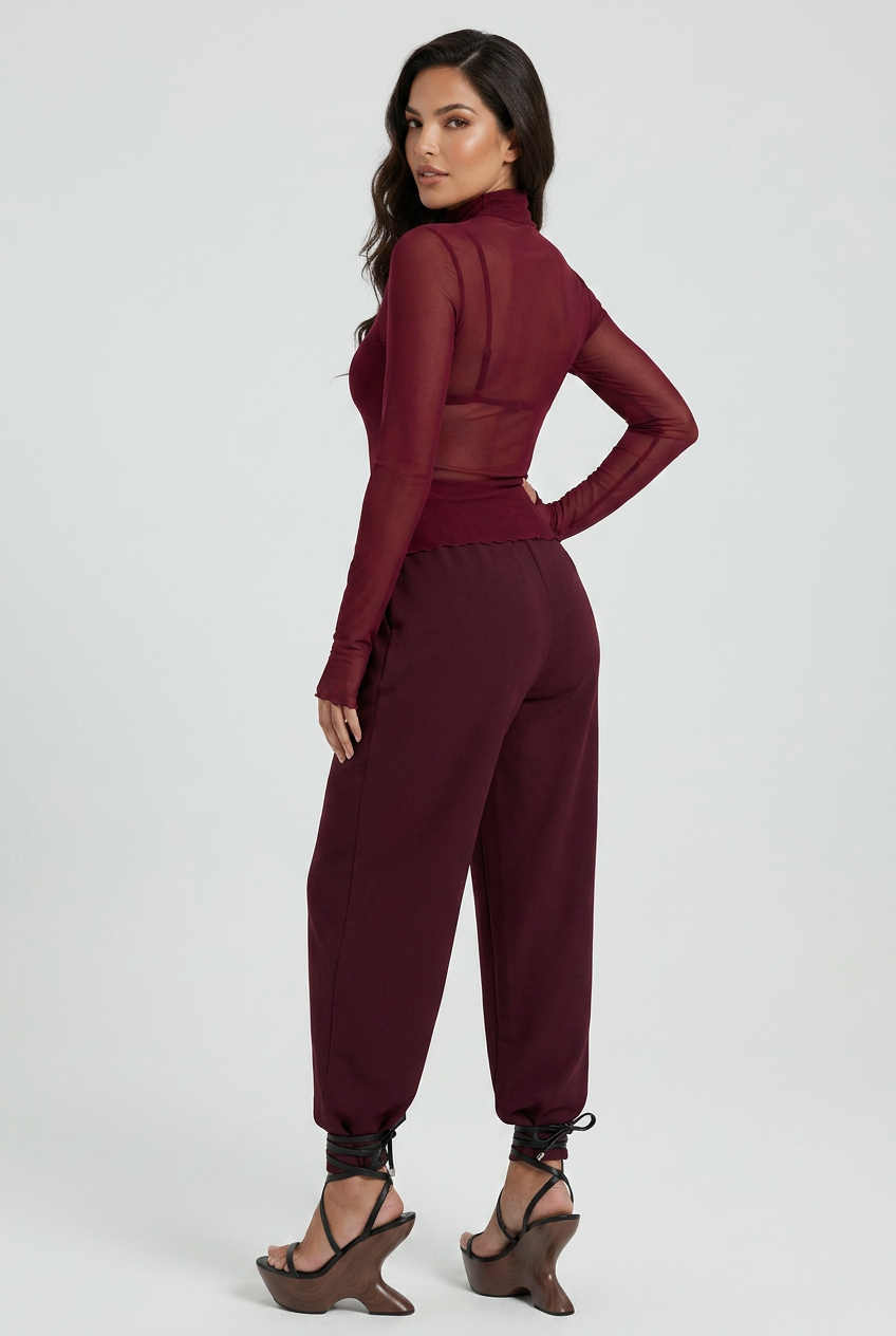 Sheer Mesh Turtleneck Top