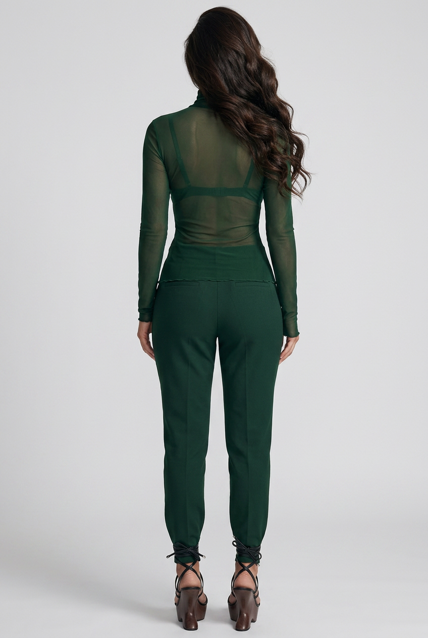 Sheer Mesh Turtleneck Top