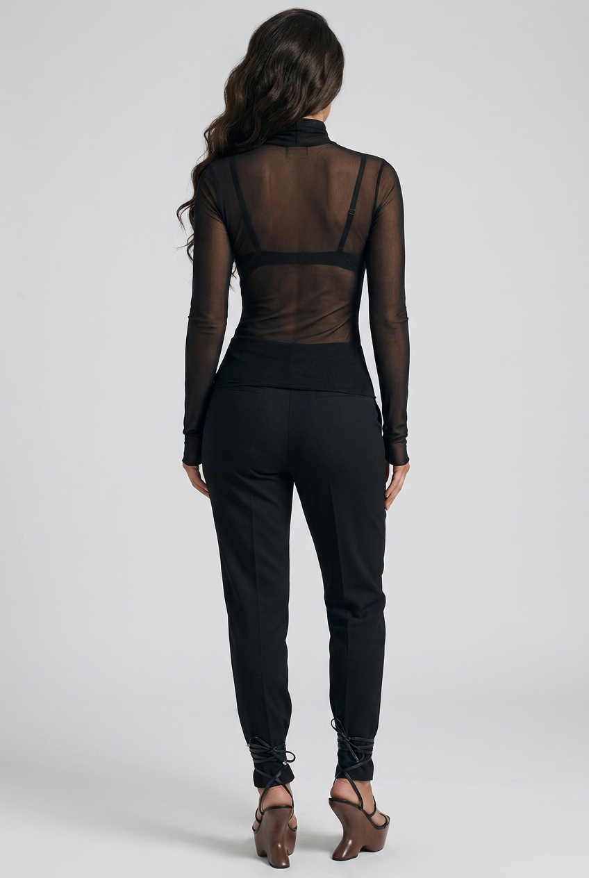 Sheer Mesh Turtleneck Top