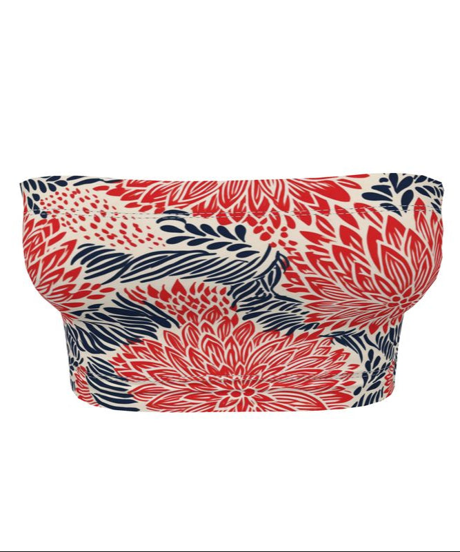 Misha Bandeau Tube Top